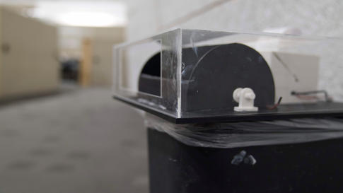 Bridge Bin