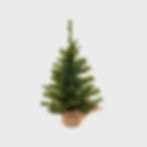プロジェクションマッピングでオリジナルクリスマスツリー