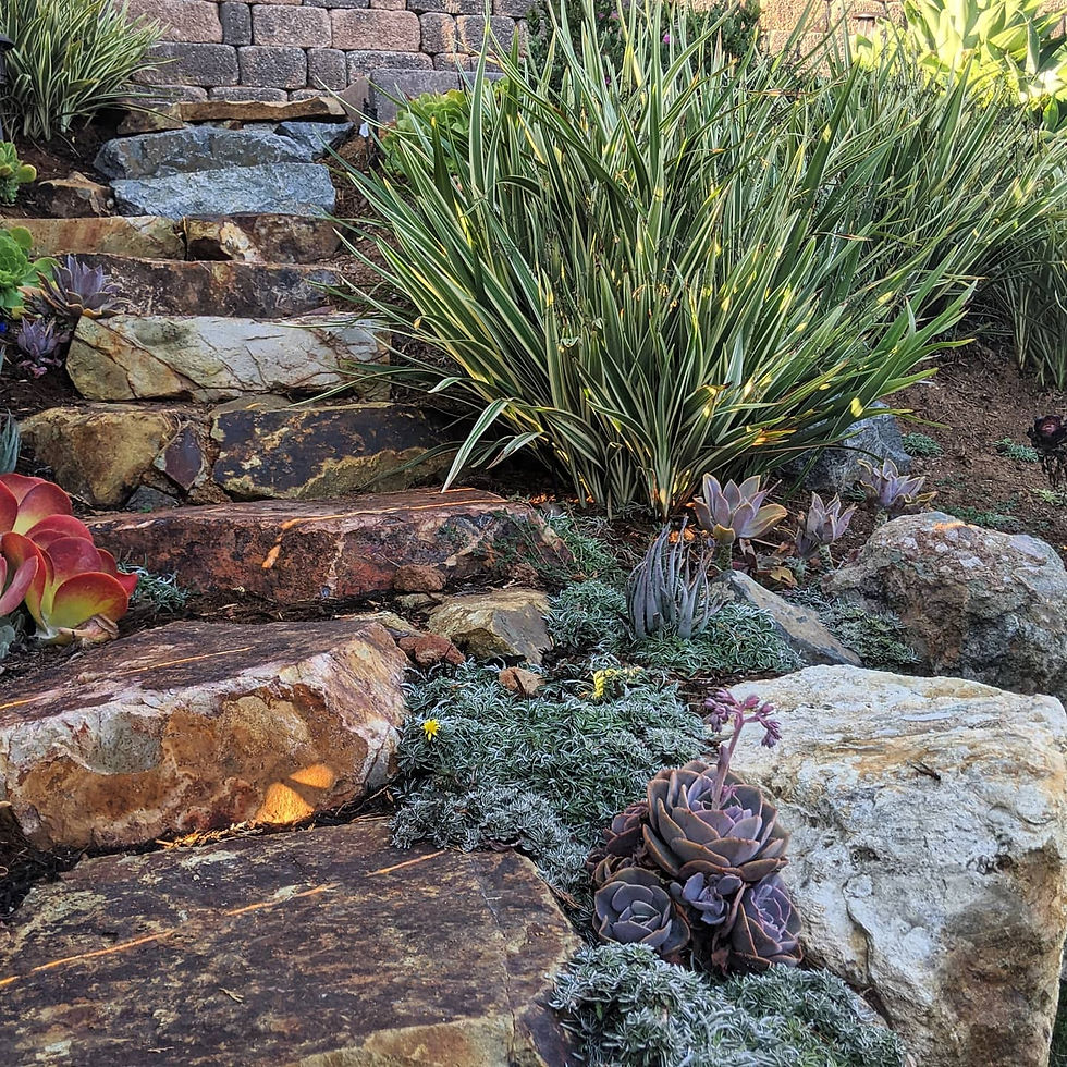 Clairemont Slope Garden