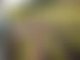 CRÉDITO RURAL - TAXA DE JUROS REMUNERATÓRIO