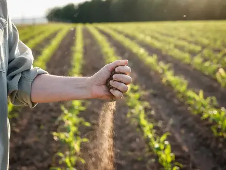 CRÉDITO RURAL - TAXA DE JUROS REMUNERATÓRIO