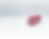 lingotto (3)1.png