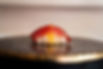 AdobeStock_1716902863.jpeg