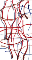 ChristopherQuinonez_06_21-11-29.jpeg