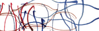 ChristopherQuinonez_07_21-11-29.jpeg