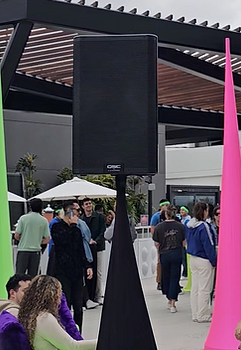 WIRELESS AUDIO SIGNAL