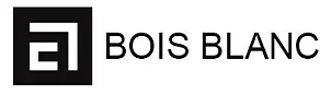 Bois Logo.webp