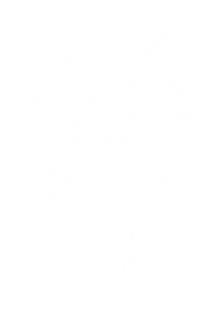 22.png
