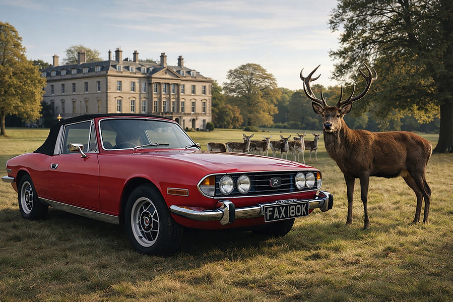Stag 7 Image.jpg