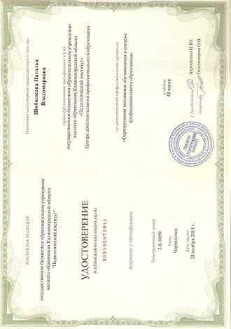 курсы мотив.jpg