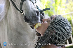 Festival à Mont-Saint-Eloi