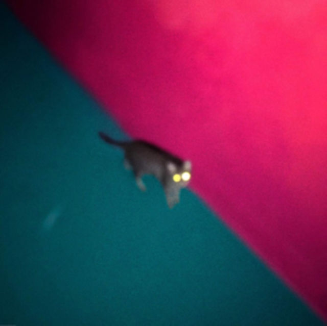 Thumbnail: !!! - Wallop (2xLP, Album) 