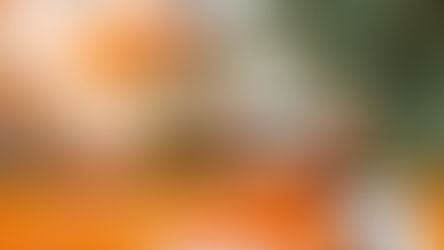 Tối ưu dòng tiền và chi phí doanh nghiệp bằng phần mềm kế toán doanh nghiệp