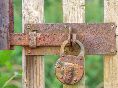 Welcome to 3-2-1 Tuesdays with Better Wellness Naturally- Fences with Gates: The Real Meaning of Boundaries