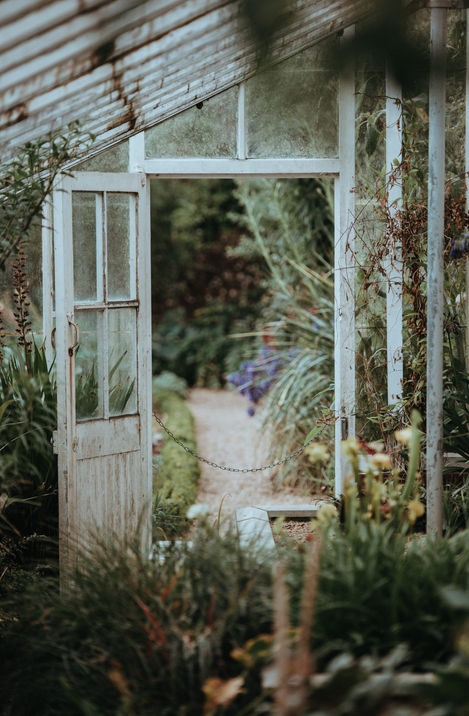 The Underground Greenhouse