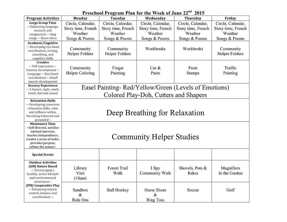 Program Plan June 22 2015