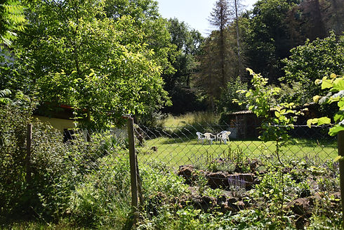 DSC_0195.JPG