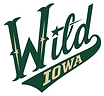 Iowa_Wild_logo.svg.png