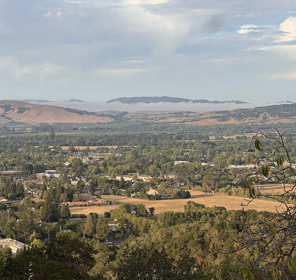 Intermediate:  Montini Preserve and Sonoma Overlook