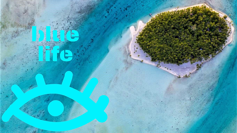 Copie de Copie de Copie de DOC (2).png