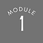 Module 1 No Circle.png