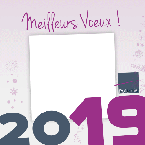 potentiel-voeux2019-v2 (2).gif