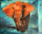 Elephant Painting II, 8 x 10