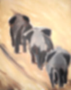 Elephants