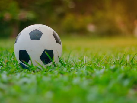 Opiniões e transferências do Bruscão: Guia completo