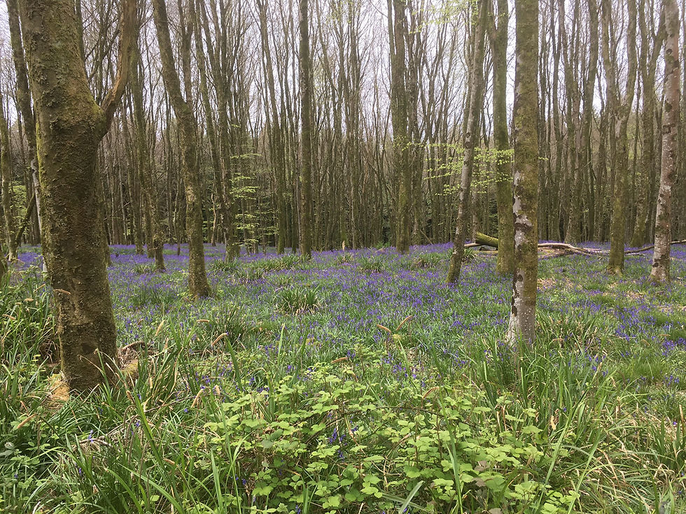 Public Health in the spotlight