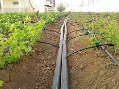 irrigation.jpeg