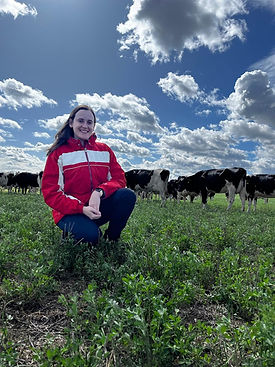 Imagem do WhatsApp de 2024-05-21 à(s) 20.25.00_a594f9c5.jpg