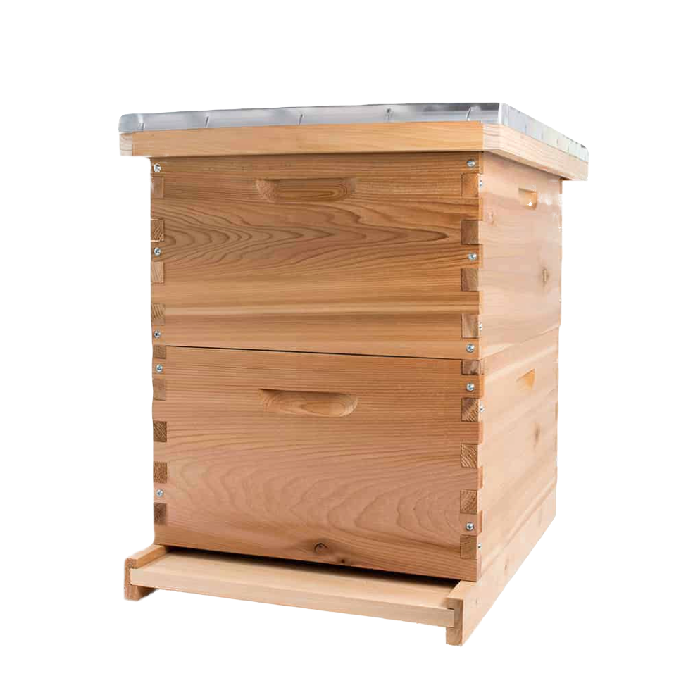 Cedar Complete Hive