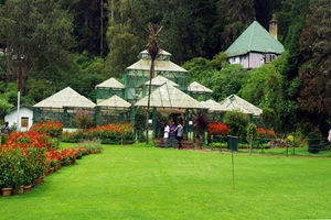 Ooty 3 Days Tour Package from Coimbatore