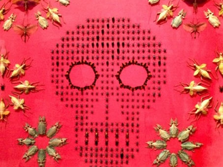 ON THE EVE OF ALL SOULS – Remembering a Certain Community of Souls (10/31/21)