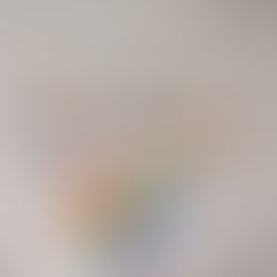 Northside Elementary History Night