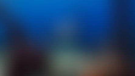 Cinédanse : Mov'in Cannes, bis repetita