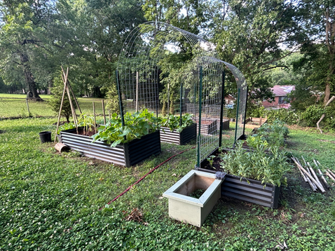 I Ghosted My Garden
