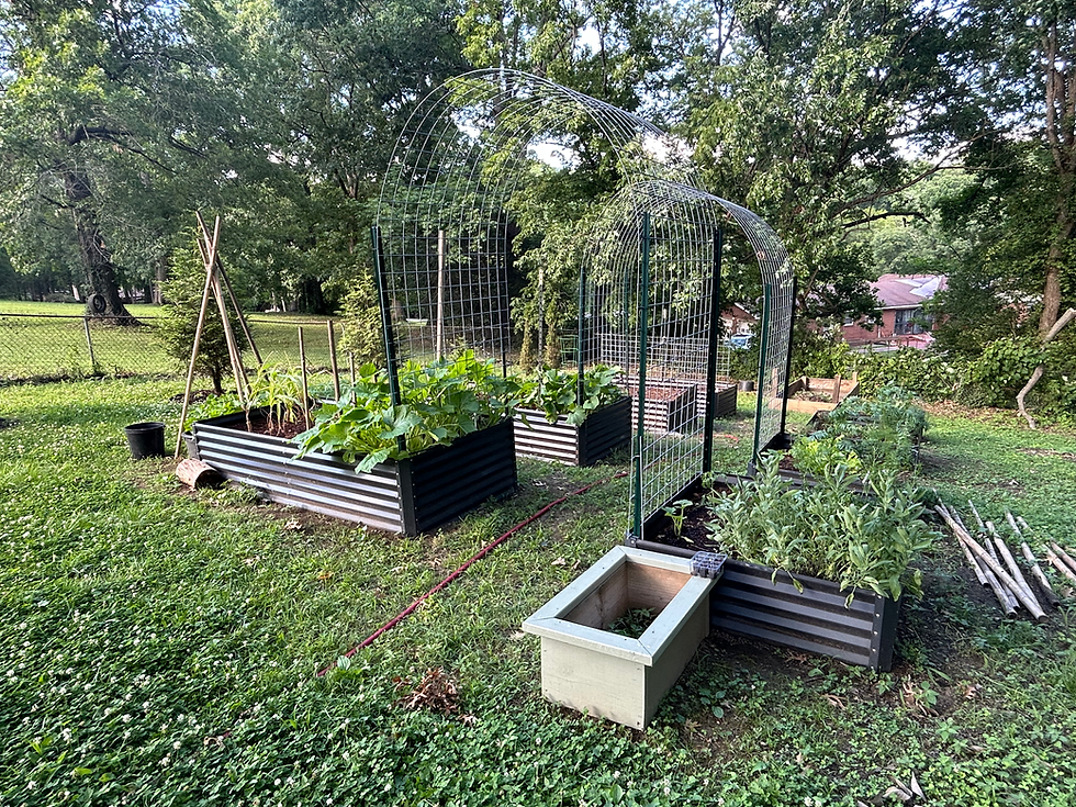 Raised bed gardens
