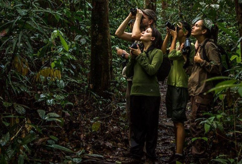 Observação de Vida Silvestre_edited.jpg