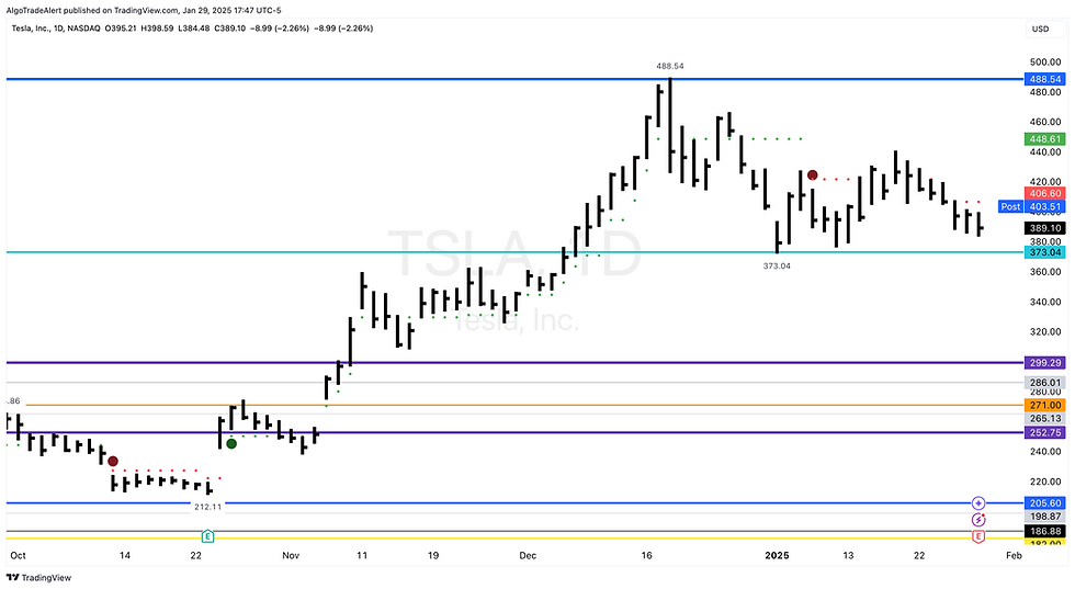 Tesla Daily Stock Chart
