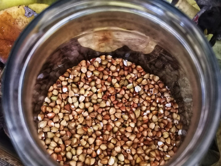 La Kasha le porridge de GRETCHKA , la graine torréfiée du sarrasin