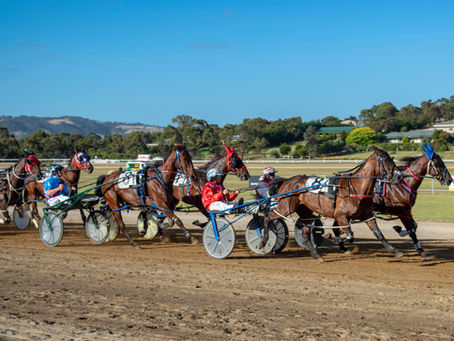 Horses line up for traditional Boxing Day races
