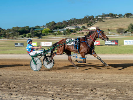 Club calls on Volunteers for country racing success