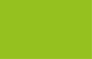 background verde escuro.png