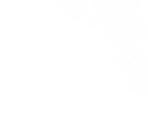 arte background branca.png