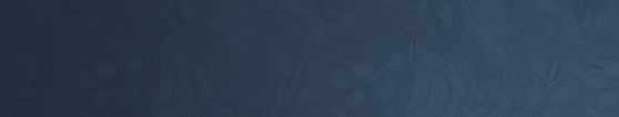 back pequeno origem.png