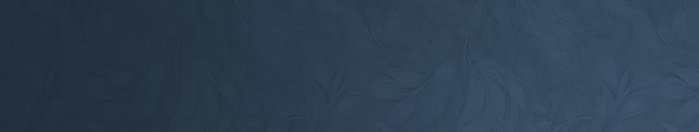 back pequeno origem.png