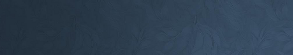 back pequeno origem.png