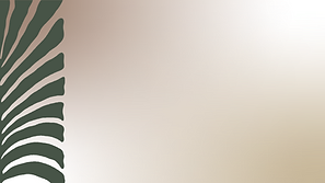 backgroundPARQUEPIEDADE